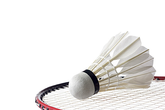 赌自由市场 赌自由市场